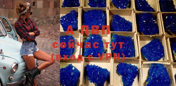 PSILOCYBIN Верхний Тагил