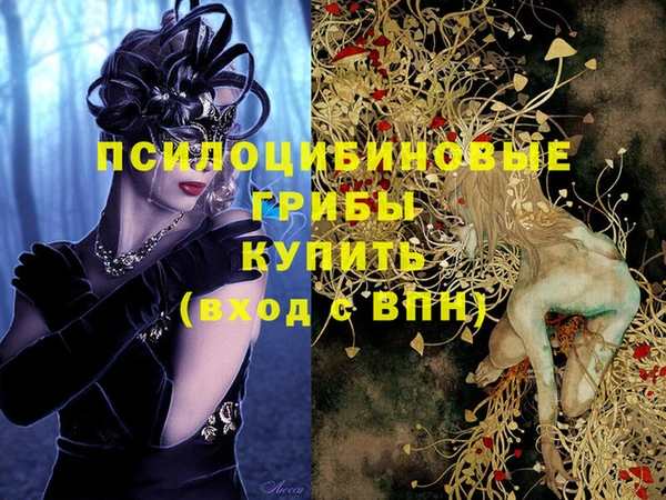 PSILOCYBIN Володарск