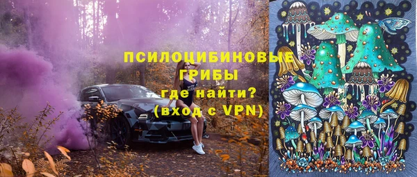 PSILOCYBIN Володарск