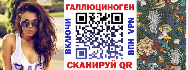продажа наркотиков  Касли  Псилоцибиновые грибы Cubensis 